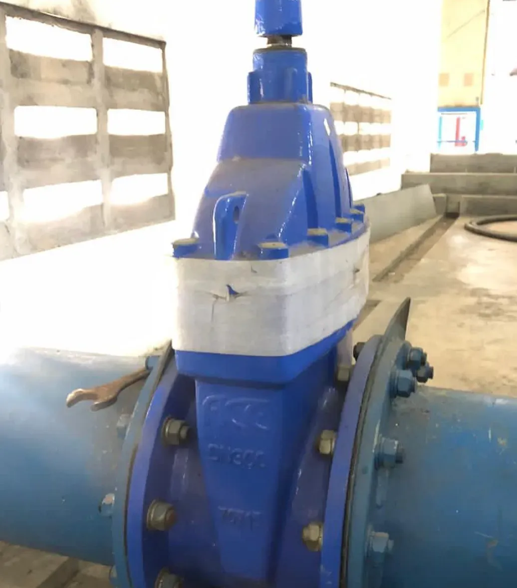 Johnson Valve - Gate Valve DN300